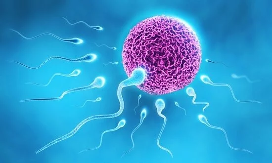 Презерватив — средство профилактики и контрацепции