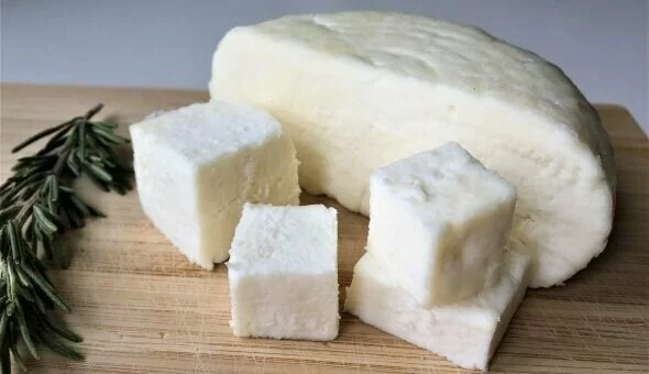Сыр без закваски – Панир